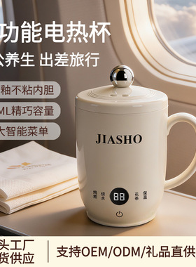 多功能养迷你生壶办公室宿舍炖煮杯小型一人家用烧水杯热牛奶杯