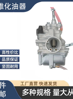 摩托车化油器 适用于YAHAMA QS110 赛池100 SRL 110