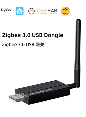 ZBDongle-P zigbee桥接器Zigbee3.0 usb dongle home assistant
