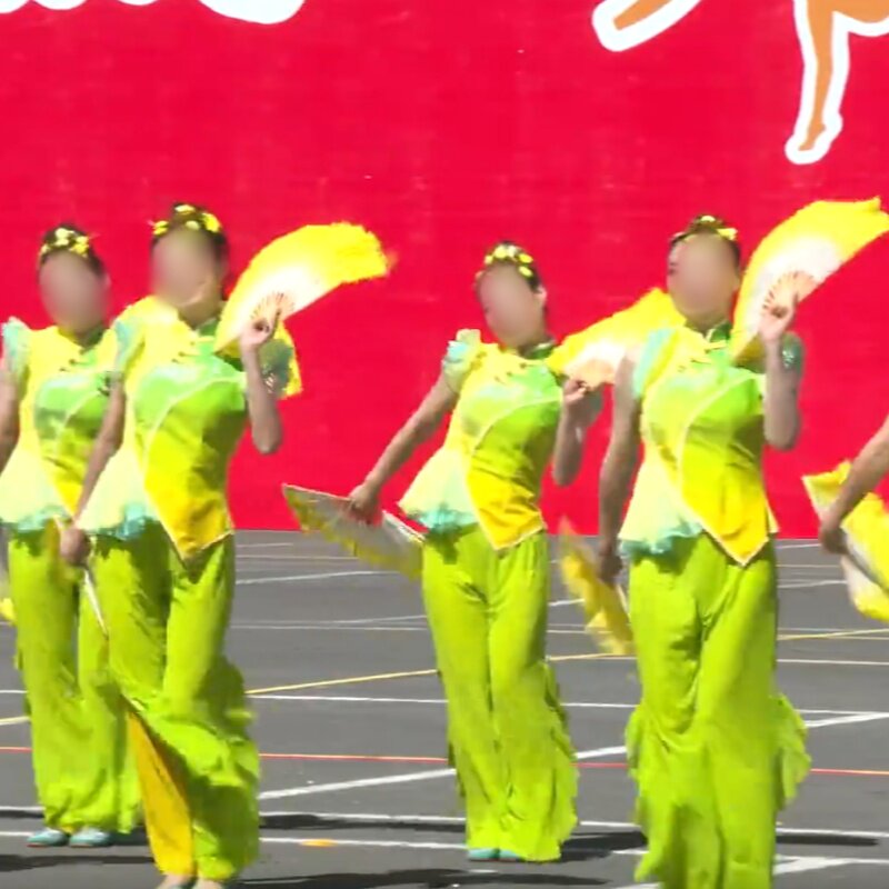 广场舞女子群舞《菜籽开花遍地黄》民间舞同款舞蹈演出服专业定制