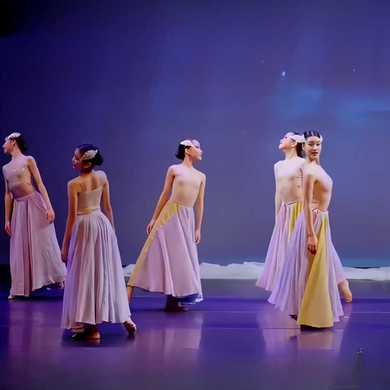 大鱼飘逸群舞设计定制演出服