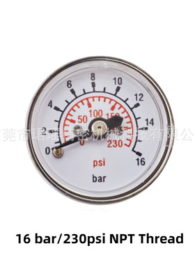 跨境供应16Bar/230PSI压力表无油精密测压表1/8NPT螺纹测压表