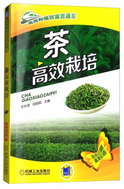 【书】茶高效栽培茶叶树栽培种植技术大全科学种植茶叶树茶园茶树病虫害防治茶园土壤及水肥管理茶树修剪枝技术书籍