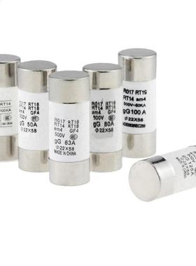 2PCS 500V 22x58mm Fast Blow Ceramic Tube Fuse 40A 50A 6A 80