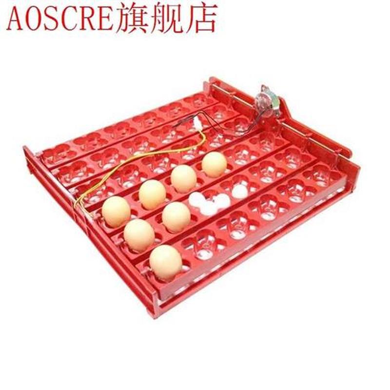 36 Egg 110V Automatic Incubator Turner Tray Motor Digital Ha