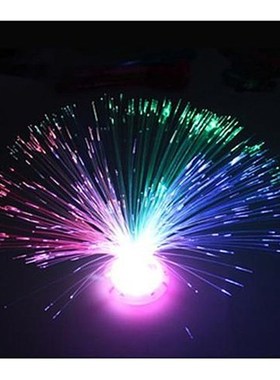 Color Changing LED Fiber Optic Night Light Lamp Colorful Sta