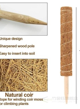80/70/60/50CM Plant Support Coir Moss Totem Pole Coconut St