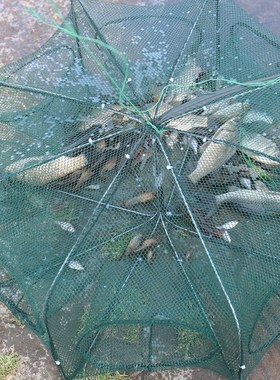 Folded Hexagon Octagon 6/8/12 Holes Fishing Shrimp Automatic