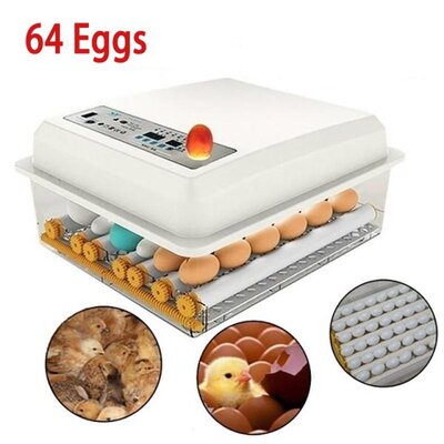 16 Eggs/ 64 Eggs Automatic Egg Incubator Farm Hatchery Machi