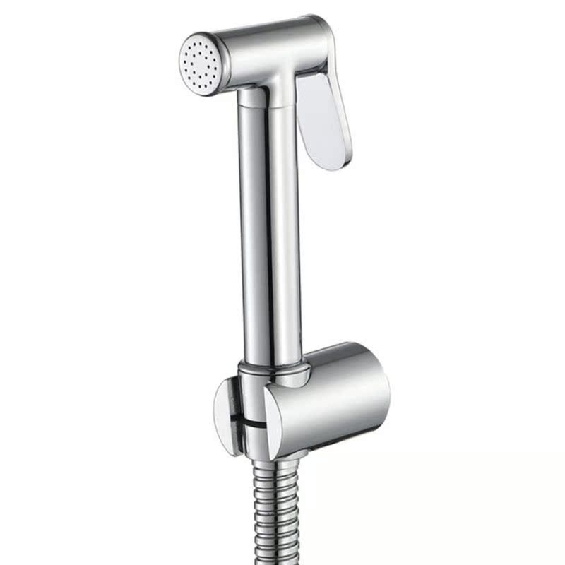 Handheld Bidet Sprayer Brass Toilet Faucet with 1.2M Stainle