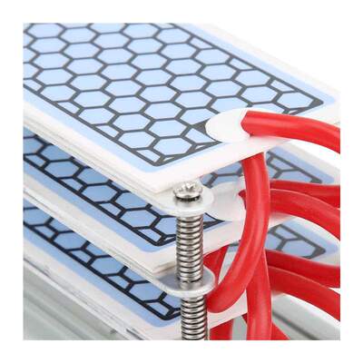 110V/220V 15g/h Ozone Generator Portable Air Purifier Long L