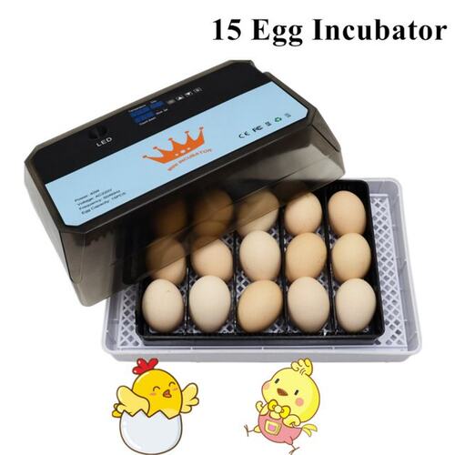 15 Egg Incubator Hatchery Farm Hatchery Incubator Brooder Ma