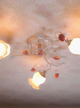 Nordic type idyllic absorb dome light sitting room lamp advo