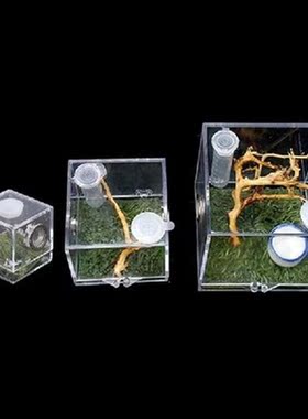 Spider Habitat Feeding Cage  Breeding Box for Spiders
