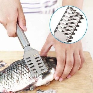 Stainless Steel Fish Scale Remover Cleaner Scaler Descaler
