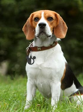 For Apple Airtag Liquid Silicone Case Soft Anti-scratch Prot