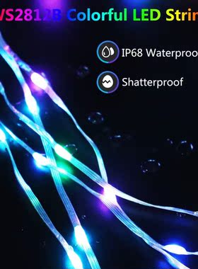 WS2812B RGB LED String 5M 10M Christmas Lights WS2812  Led S