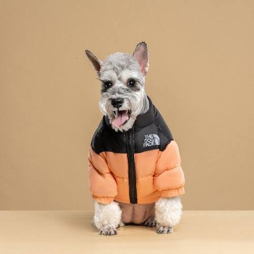Tide brand dog down jacket winter warm Teddy Fadou