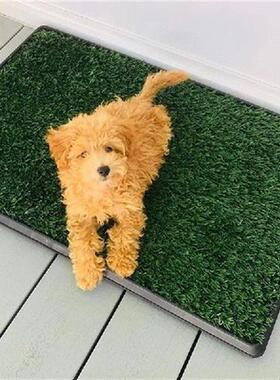 Dog Toilet Mat Indoor Potty Pad with Grass Puppy Training