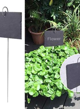 10pcs Nursery Pot Classification Seedling Ornaments Garden M