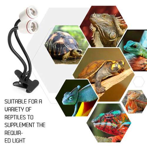 E27/E26 Reptile Lamp Set With Clip-on Bulb Lamp Holder and P
