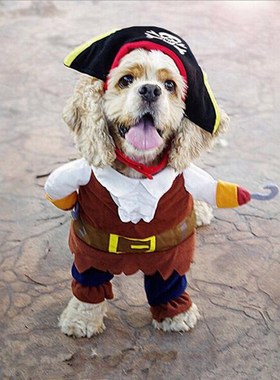 New Arrival Funny Pet Clothes Cosplay Pirate Dog Cat Hallowe