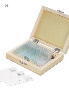 Biology 25/100 pieces prepared glass microscope slide school