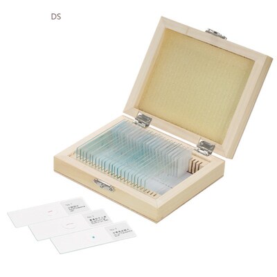Biology 25/100 pieces prepared glass microscope slide school