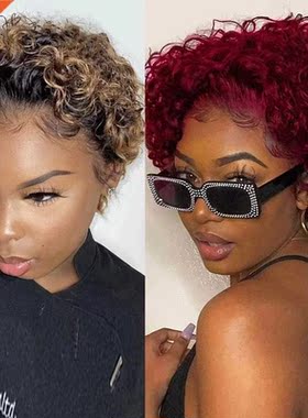 Highlight Wig Human Hair 99J 1B/27 Curly Human Hair Wigs Che