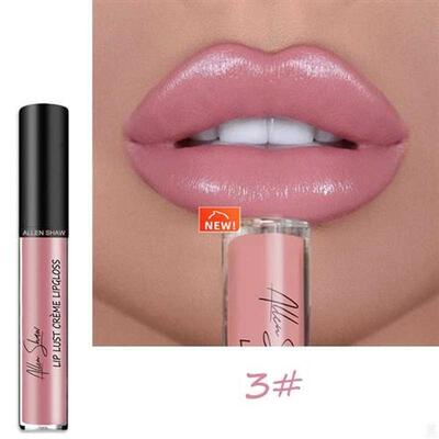 Allen Shaw3pcs Nude Glitter Shimmer Liquid Lipstick Moistur