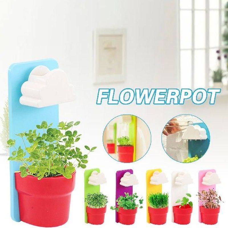 Flower Pot  for plant Rainy Wall Hanging Mounted Planters - 实物图