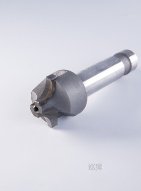 1PC 2/4Flutes R2-R30 Cemented Carbide Corner Rounding End Mi