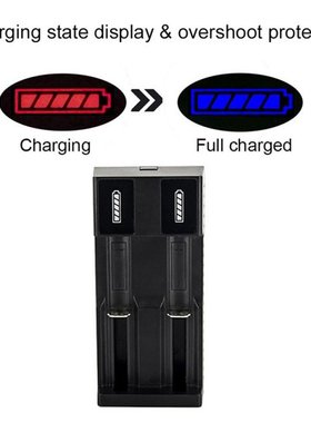 Dual Slots USB Batteries Charger Protection IC Universal Bat