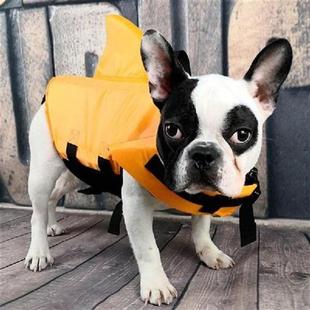 Summer Pet Life Vest Shark Jacket Dog Clothes Dog Life Vest