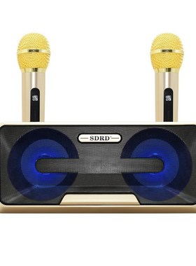 Sdrd301 Wireless Microphone Household Ktv Outdoor Portable H