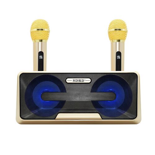 Sdrd301 Wireless Microphone Household Ktv Outdoor Portable H