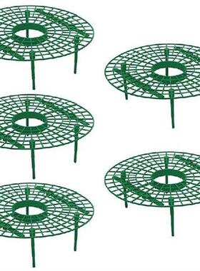 15 Pack Strawberry Plant Supports Strawberry Growing