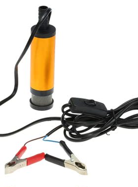 12V Car Electric Submersible Pump Fuel Water Oil Transfer S