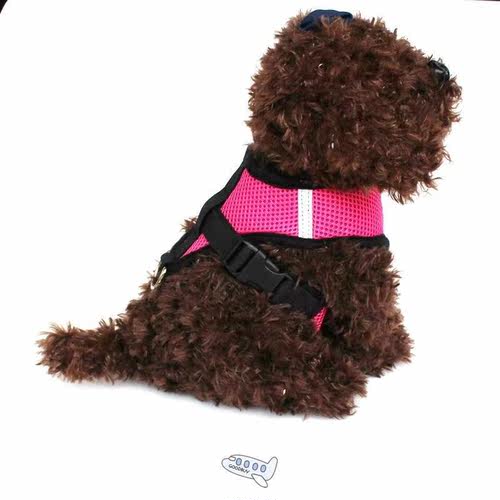 Breathable Mesh Small Dog Pet Harness and Leash Set Puppy Ca