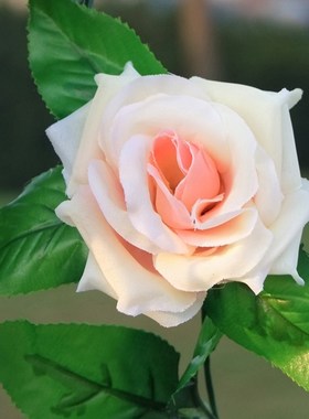 2.4M Artificial Rose Ivy Leaves Wedding Wall Background Arch