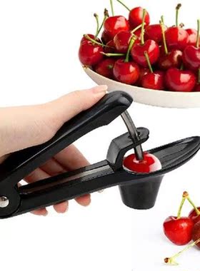 Plastic Fruits Gadgets Tools Cherry Pitter Kitchen