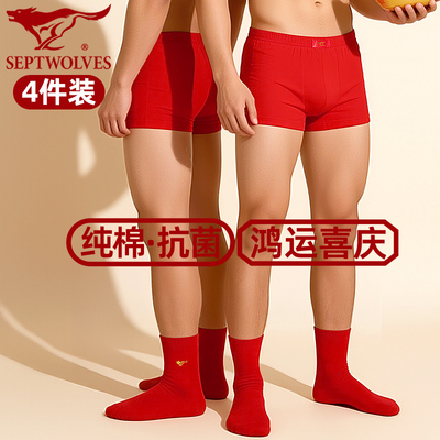 七匹狼4件套大红纯棉内裤+袜子男