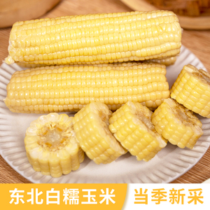 白糯玉米280g*8支（非转基因）