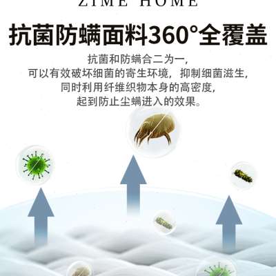 160支埃及棉床单单件床笠纯棉高档800根阻螨定制母婴级A类三件套
