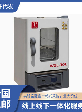 福建总代泰斯特实验室烘箱 WGL-30D/45D/65D高温鼓风干燥箱300℃