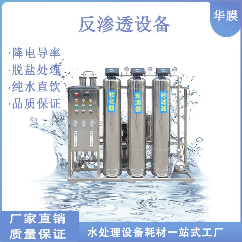 0.25吨反渗透设备 不锈钢双极RO水处理纯水设备 大型去离子净水器
