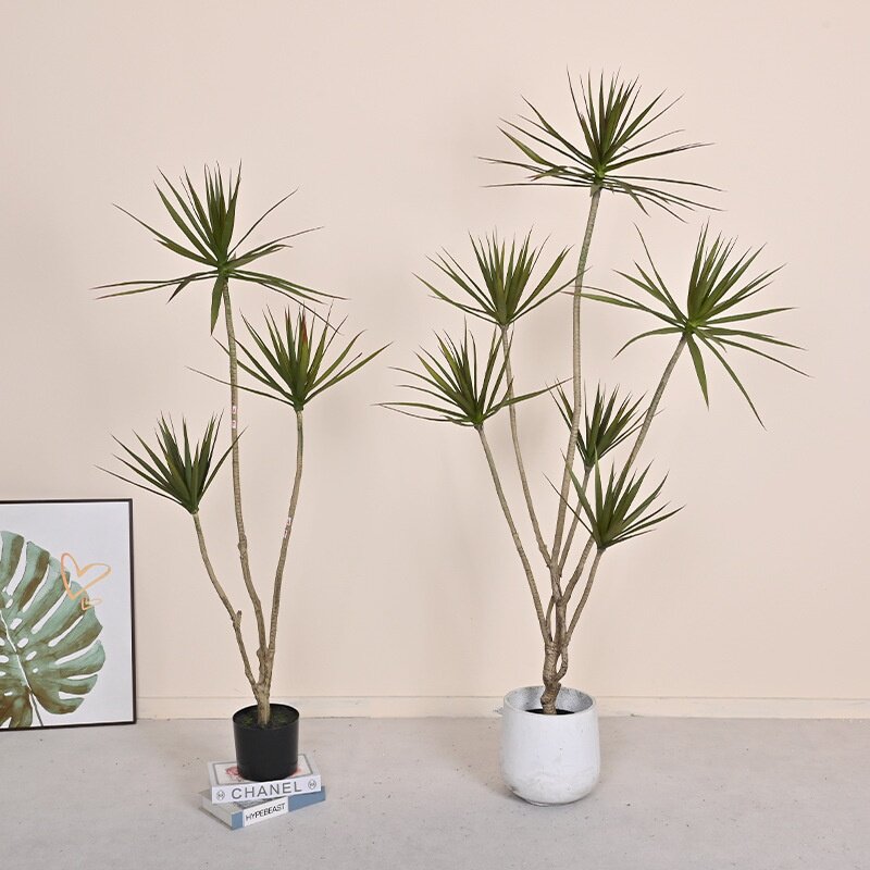 沙漠绿植千年木剑麻家居客厅落地装饰植物大型假树木龙舌真