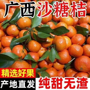 广西金秋砂糖橘5斤沙糖桔新鲜应当季水果小蜜橘桔子现摘现发红桔