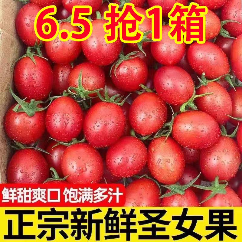 新鲜樱桃小番茄千禧果5斤小西红柿圣女果千禧小番茄新鲜水果