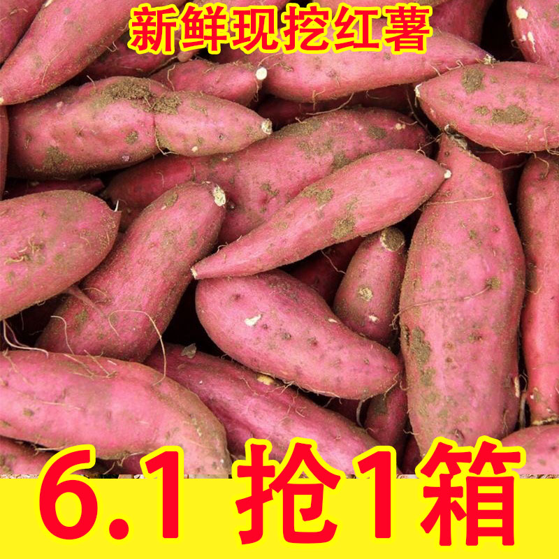 新鲜沙地板栗红薯蜜薯糖心地瓜香薯山芋农家自种现挖9斤